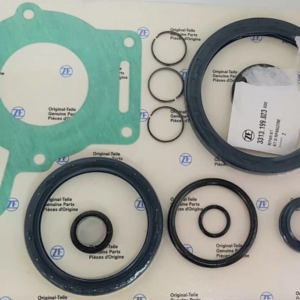 Kit Guarnizioni e anelli elastici ZF80IV