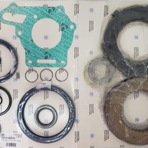 Kit Guarnizioni e frizioni ZF80 IV/ZF80-1 IV - ZF80 IV/ZF80-1 IV Clutch and Gasket Kit