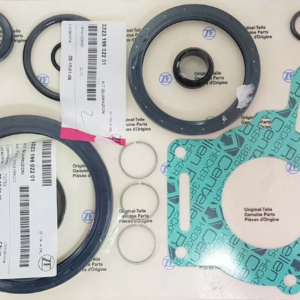 KIT GUARNIZIONI ZF 85IV