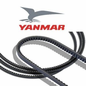 CINGHIA ALTERNATORE YM DENTATA da 05/2004 E20847