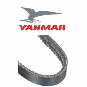 CINGHIA MULTI-GROOVE 4JH3-DTE da E35417